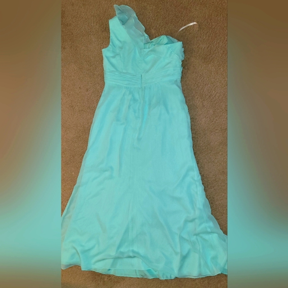 Size 14 dress from David’s bridal